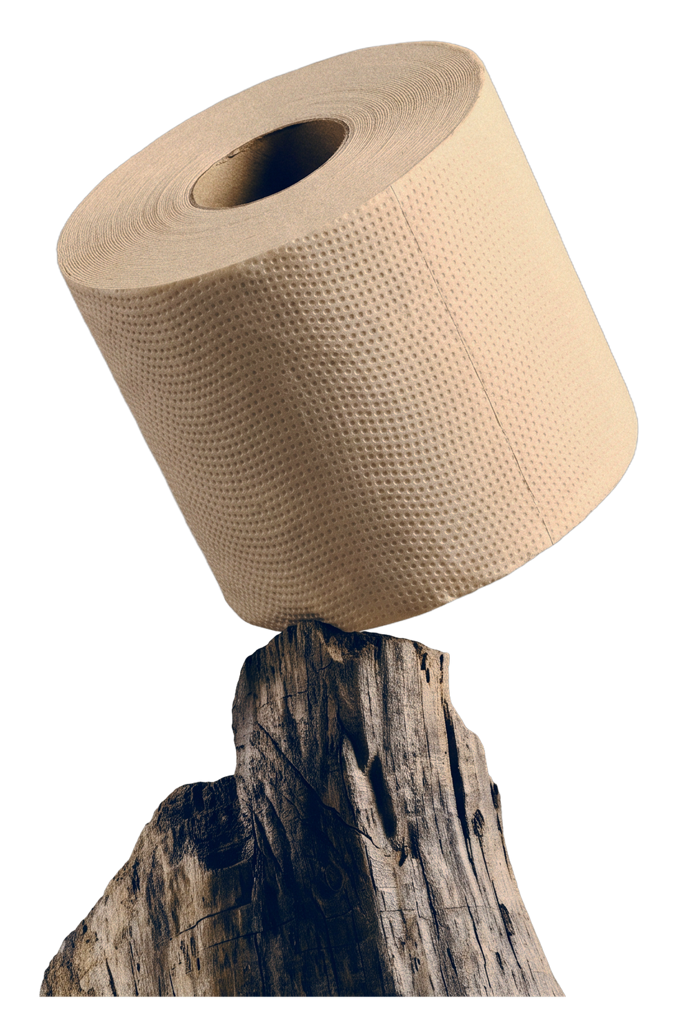 BAMBUM bamboo roll, embossed surface detail