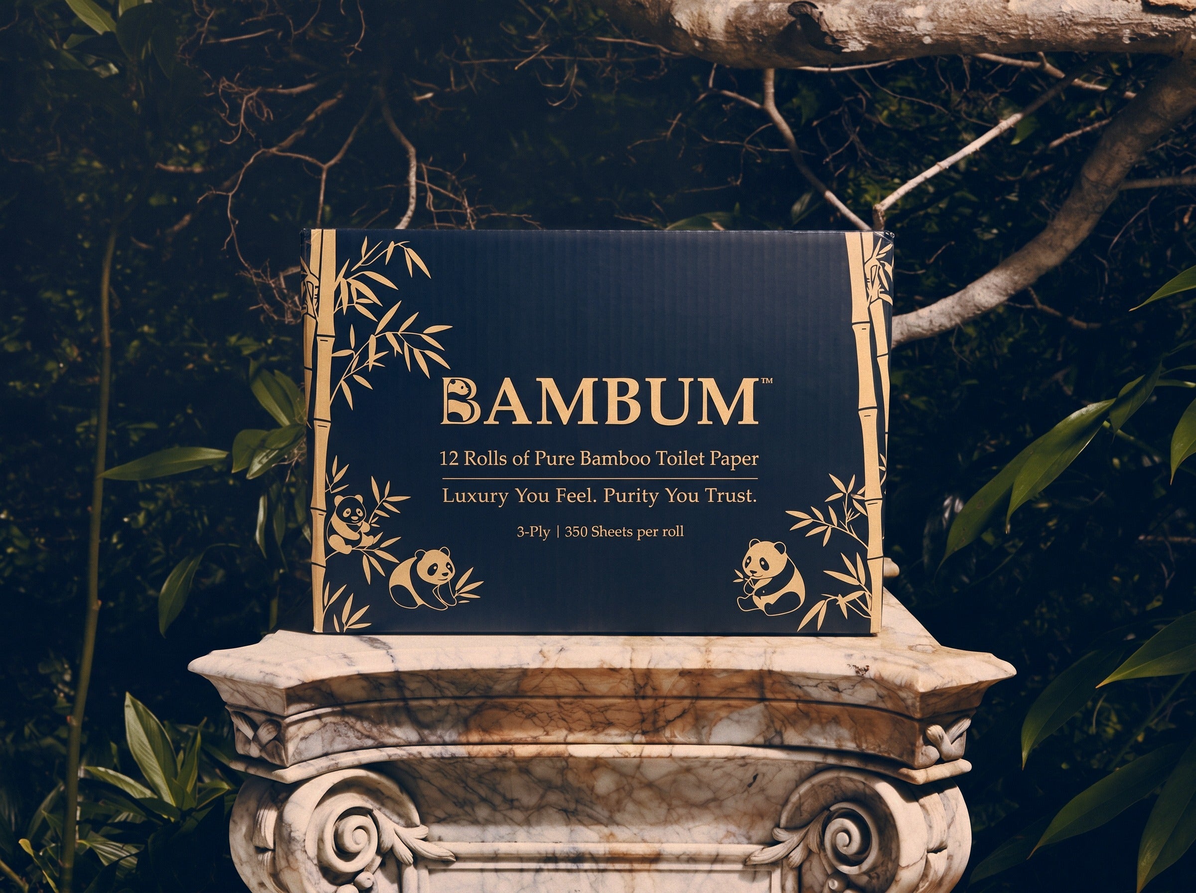 BAMBUM 12-roll box, bamboo